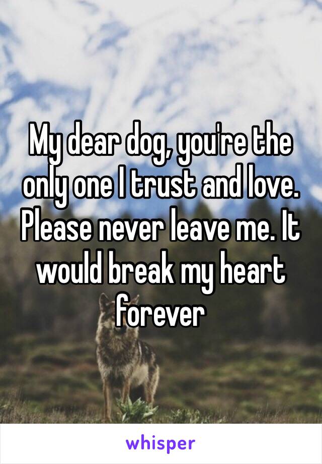 My dear dog, you're the only one I trust and love. Please never leave me. It would break my heart forever