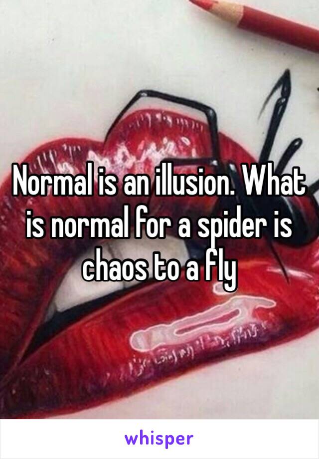 Normal is an illusion. What is normal for a spider is chaos to a fly