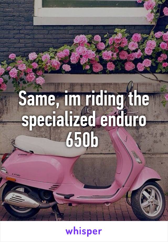 Same, im riding the specialized enduro 650b 