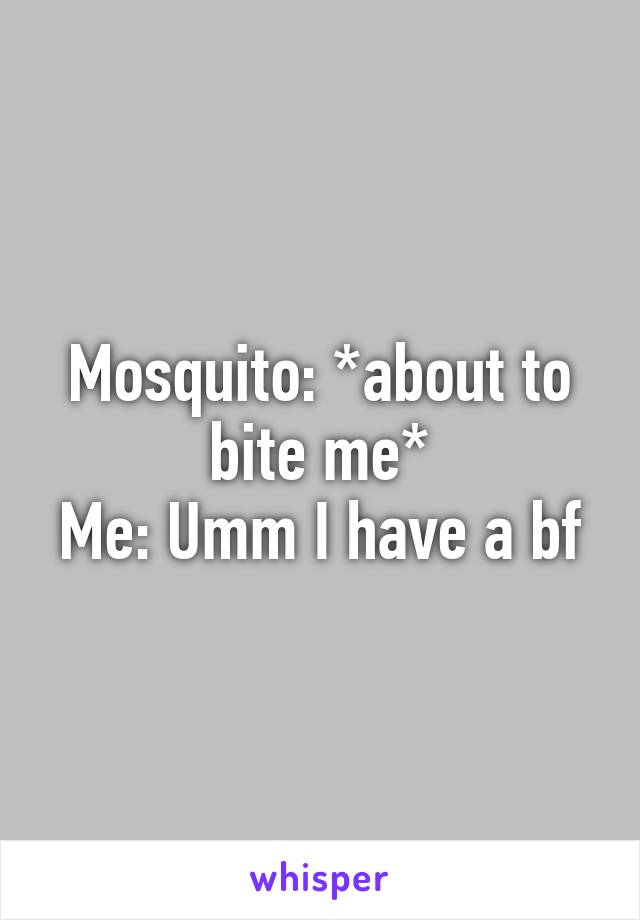 Mosquito: *about to bite me*
Me: Umm I have a bf