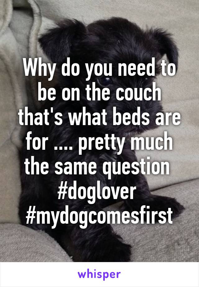 Why do you need to be on the couch that's what beds are for .... pretty much the same question  #doglover  #mydogcomesfirst