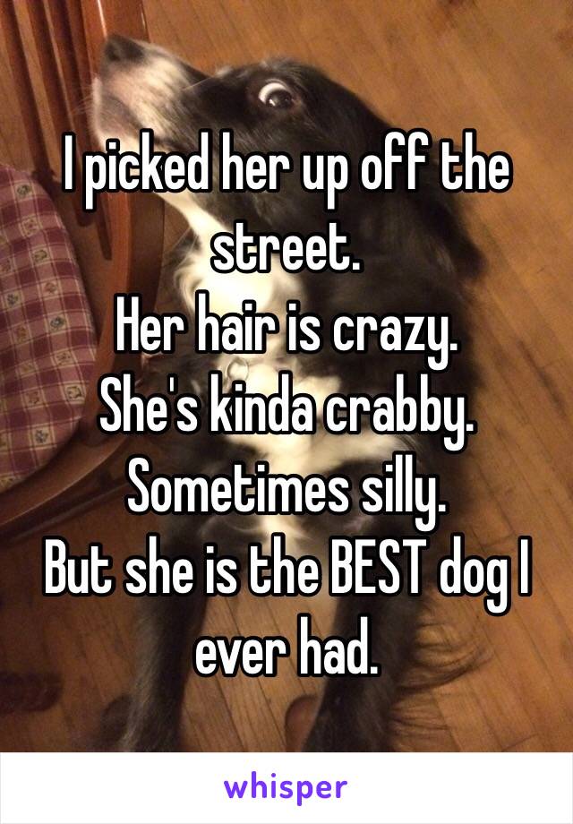 I picked her up off the street.
Her hair is crazy.
She's kinda crabby.
Sometimes silly. 
But she is the BEST dog I ever had.