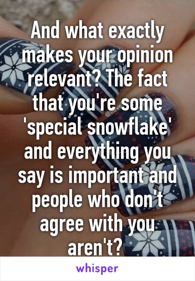 And what exactly makes your opinion relevant? The fact that you're some 'special snowflake' and everything you say is important and people who don't agree with you aren't? 