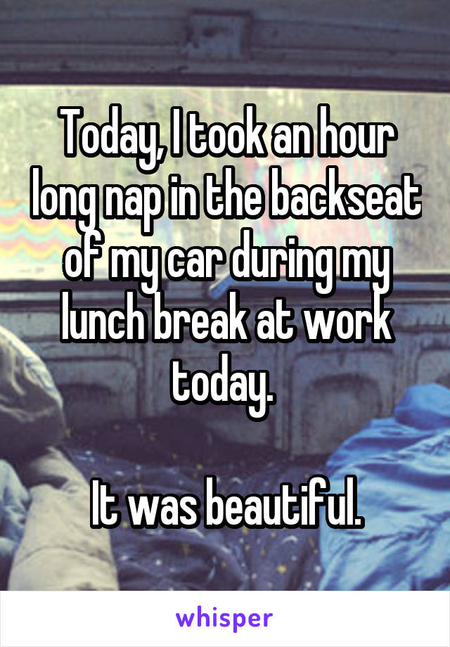 Today, I took an hour long nap in the backseat of my car during my lunch break at work today. 

It was beautiful.