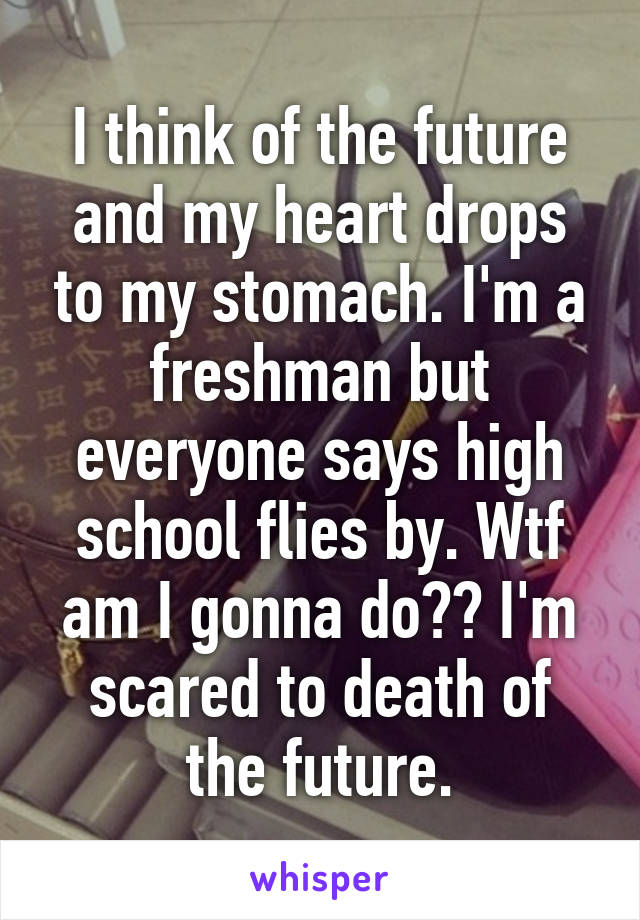 I think of the future and my heart drops to my stomach. I'm a freshman but everyone says high school flies by. Wtf am I gonna do?? I'm scared to death of the future.