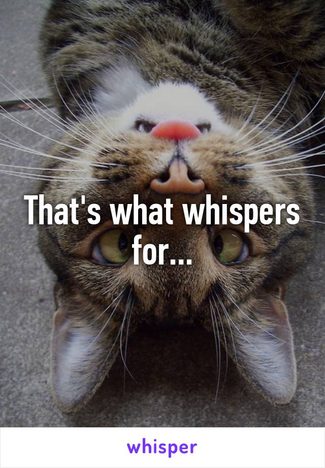 That's what whispers for...