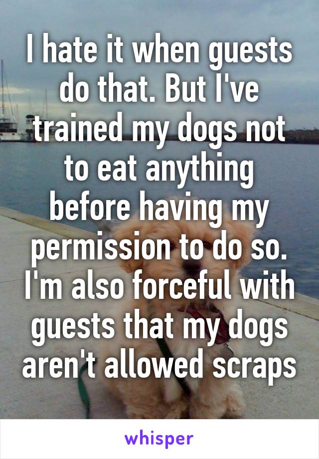 I hate it when guests do that. But I've trained my dogs not to eat anything before having my permission to do so. I'm also forceful with guests that my dogs aren't allowed scraps  