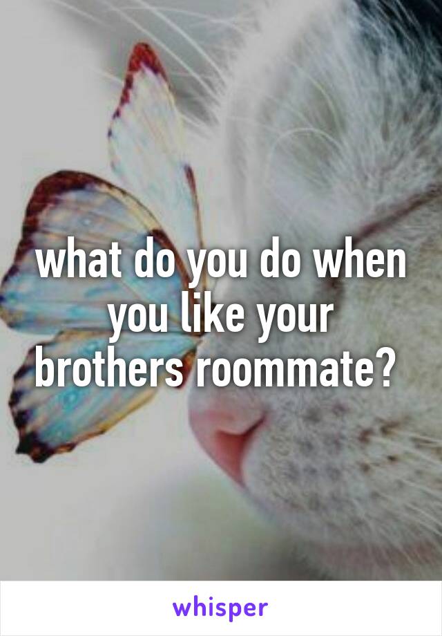 what do you do when you like your brothers roommate? 