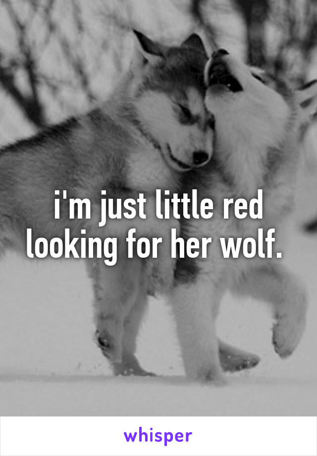 i'm just little red looking for her wolf. 