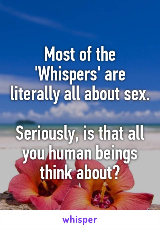 Most of the 'Whispers' are literally all about sex. 
Seriously, is that all you human beings think about?