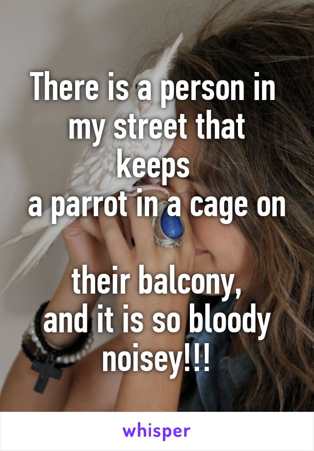 There is a person in 
my street that keeps 
a parrot in a cage on 
their balcony,
 and it is so bloody 
noisey!!!