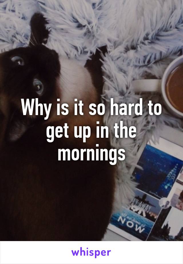 Why is it so hard to get up in the mornings