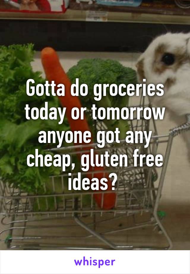 Gotta do groceries today or tomorrow anyone got any cheap, gluten free ideas? 