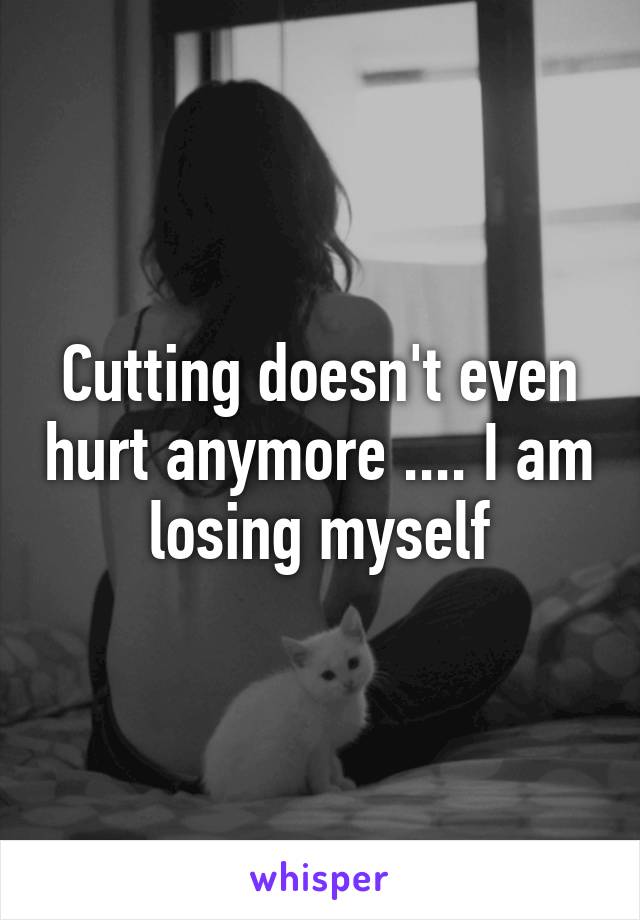 Cutting doesn't even hurt anymore .... I am losing myself