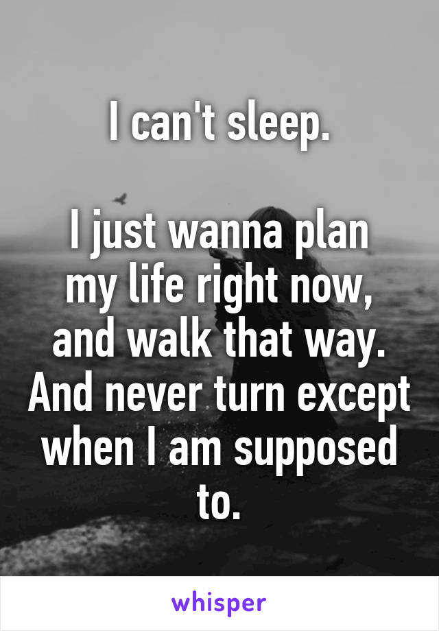 I can't sleep.

I just wanna plan my life right now, and walk that way. And never turn except when I am supposed to.