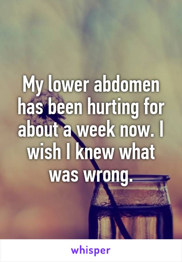 My lower abdomen has been hurting for about a week now. I wish I knew what was wrong.