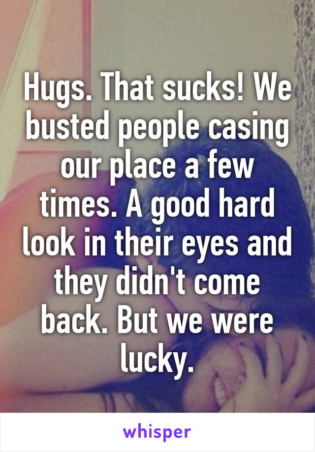 Hugs. That sucks! We busted people casing our place a few times. A good hard look in their eyes and they didn't come back. But we were lucky.