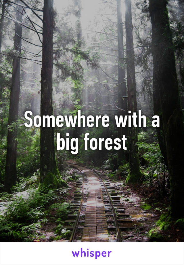 Somewhere with a big forest