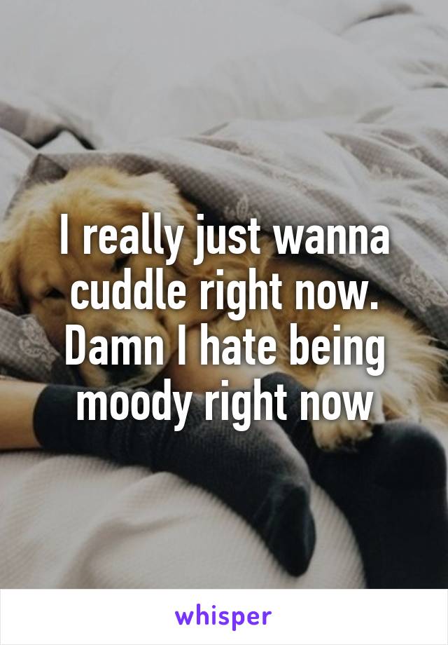 I really just wanna cuddle right now. Damn I hate being moody right now