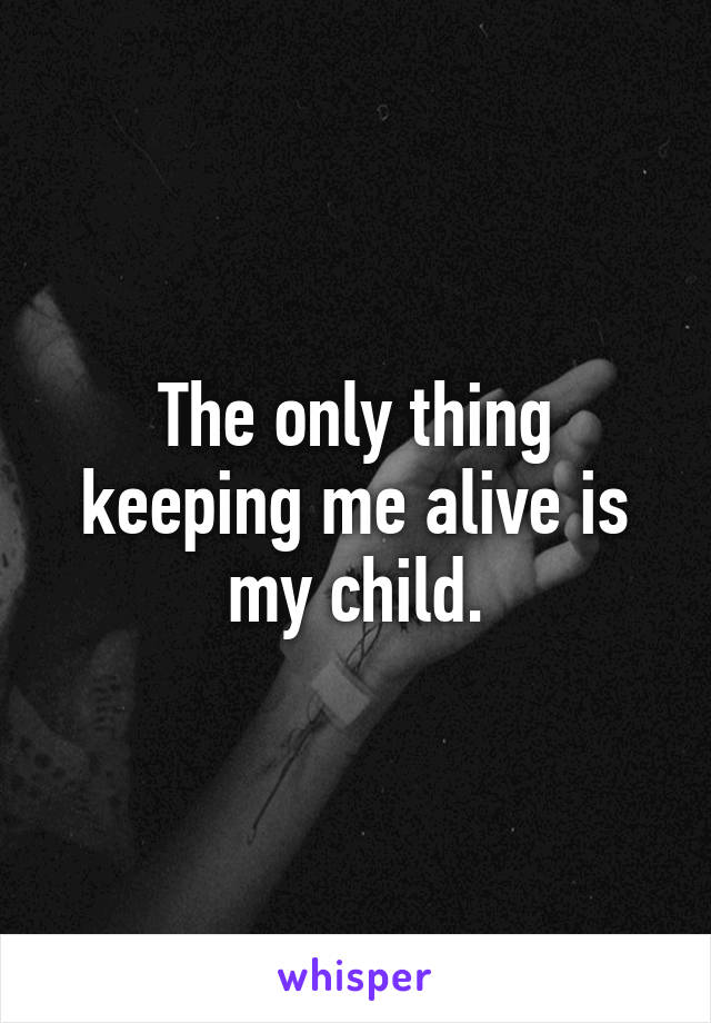 The only thing keeping me alive is my child.