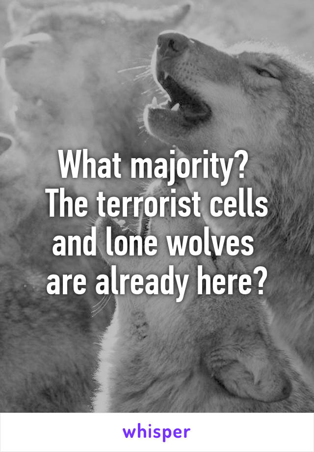 What majority? 
The terrorist cells and lone wolves 
are already here?