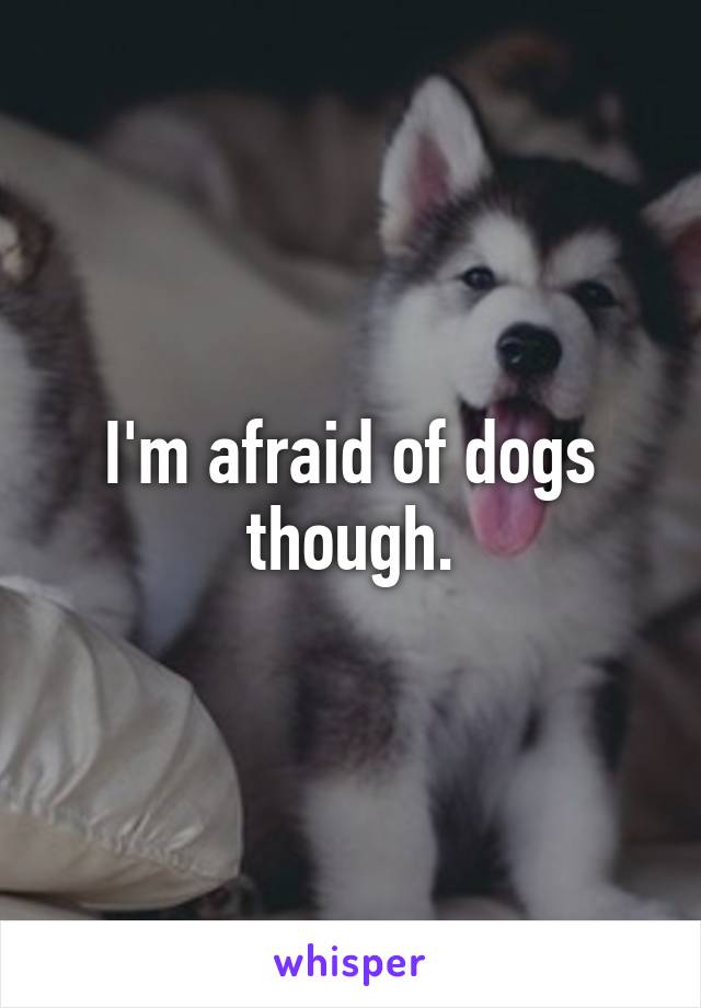 I'm afraid of dogs though.