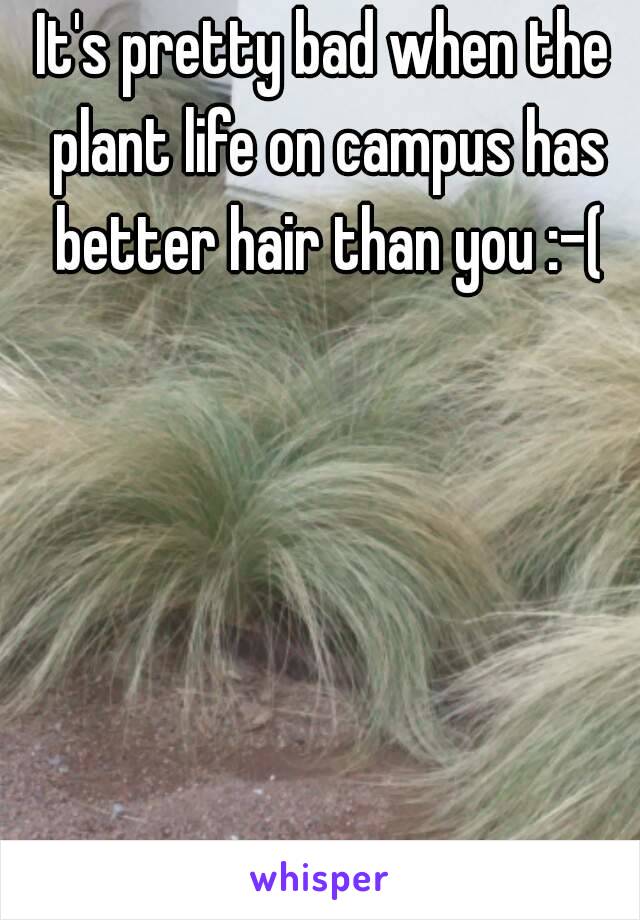 It's pretty bad when the plant life on campus has better hair than you :-(