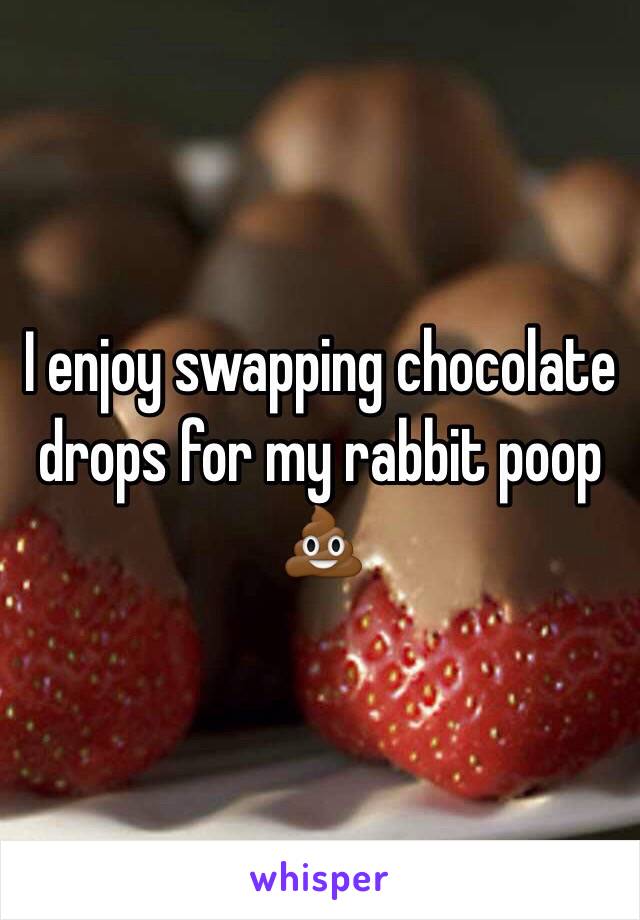 I enjoy swapping chocolate drops for my rabbit poop 💩