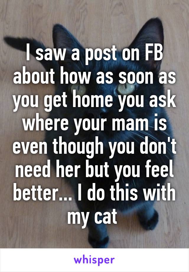 I saw a post on FB about how as soon as you get home you ask where your mam is even though you don't need her but you feel better... I do this with my cat 