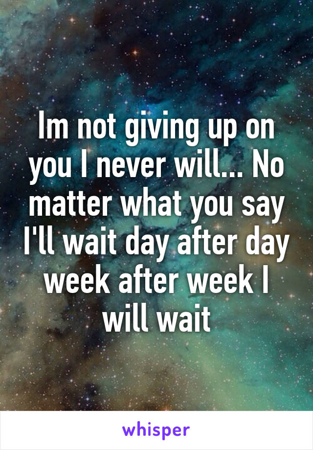 Im not giving up on you I never will... No matter what you say I'll wait day after day week after week I will wait