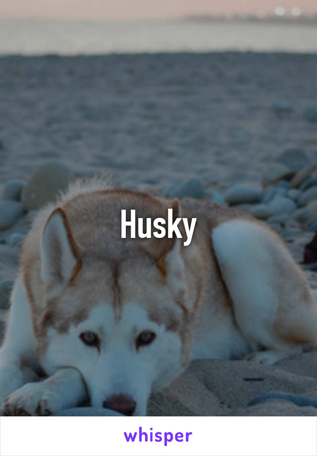 Husky