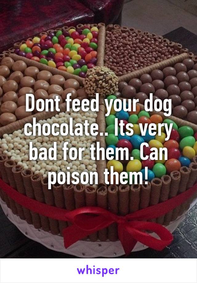 Dont feed your dog chocolate.. Its very bad for them. Can poison them!