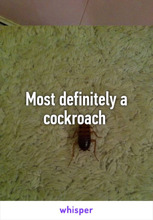 Most definitely a cockroach 