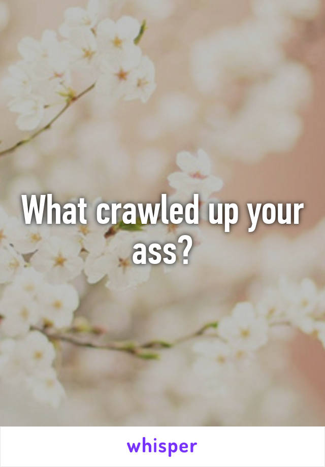 What crawled up your ass?