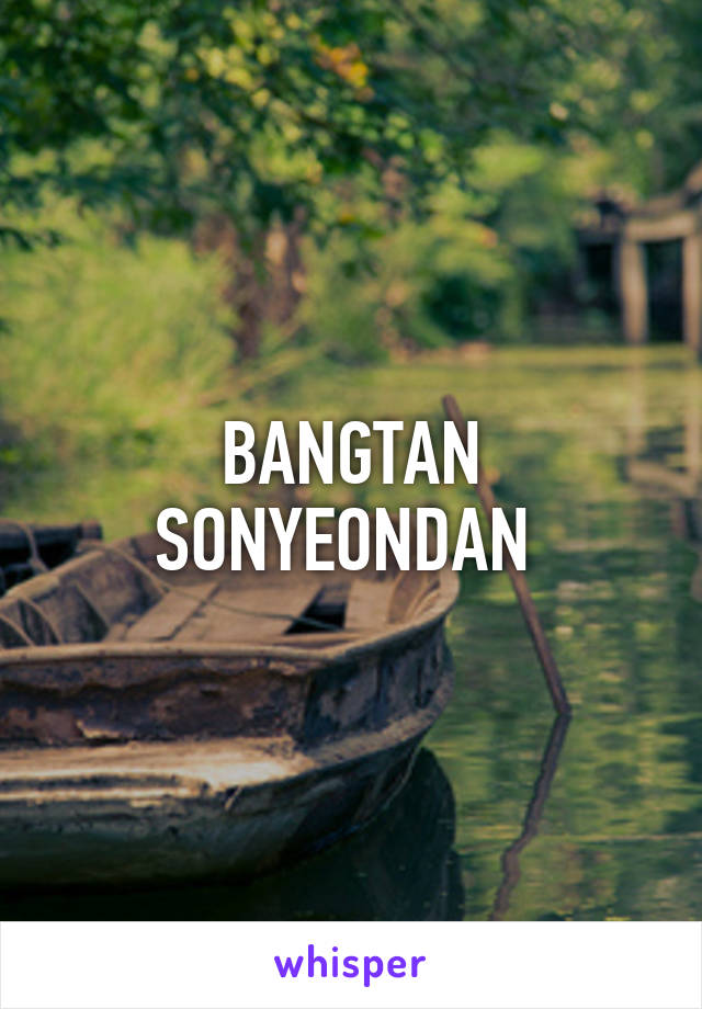 BANGTAN SONYEONDAN 