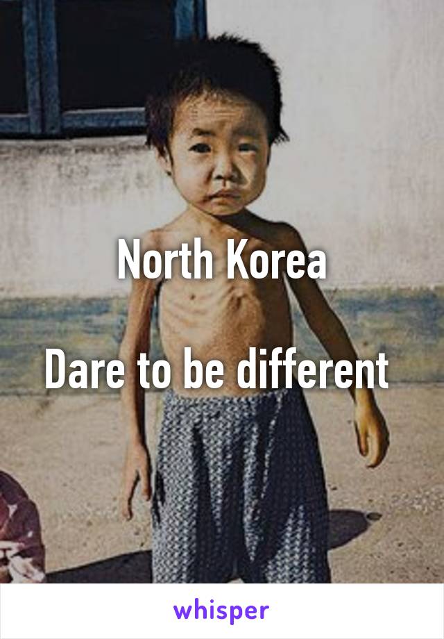 North Korea

Dare to be different 