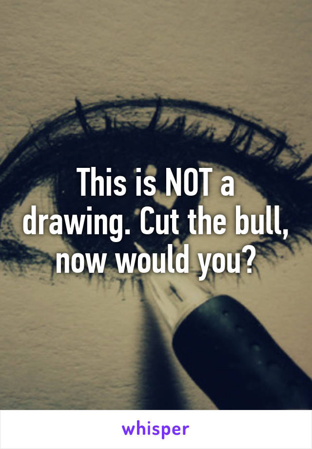 This is NOT a drawing. Cut the bull, now would you?