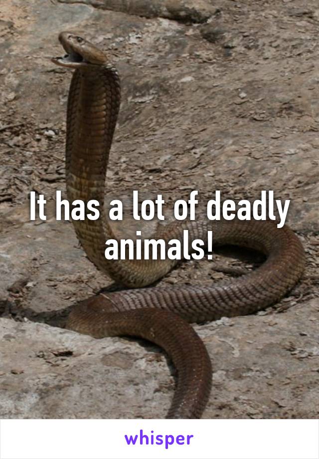 It has a lot of deadly animals!