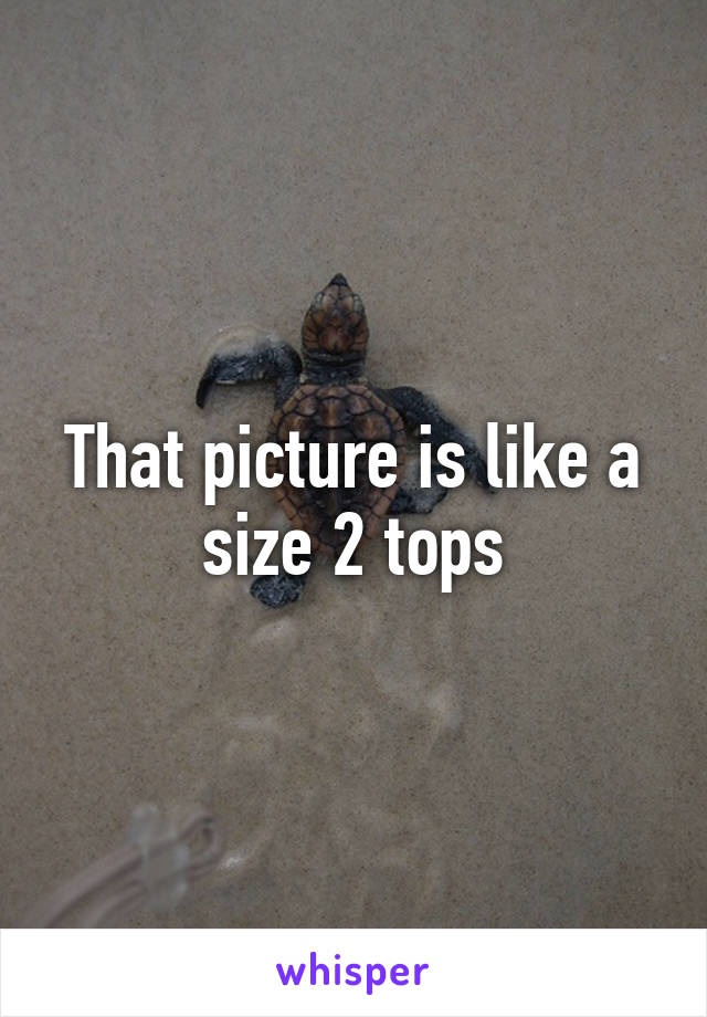 That picture is like a size 2 tops