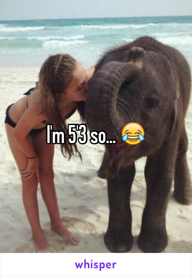 I'm 5'3 so... 😂