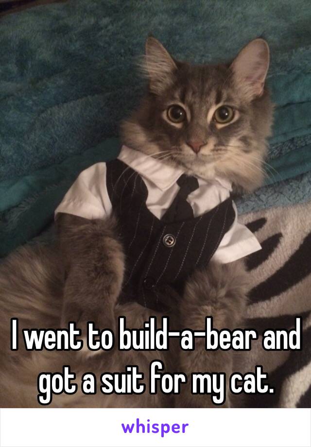 I went to build-a-bear and got a suit for my cat. 