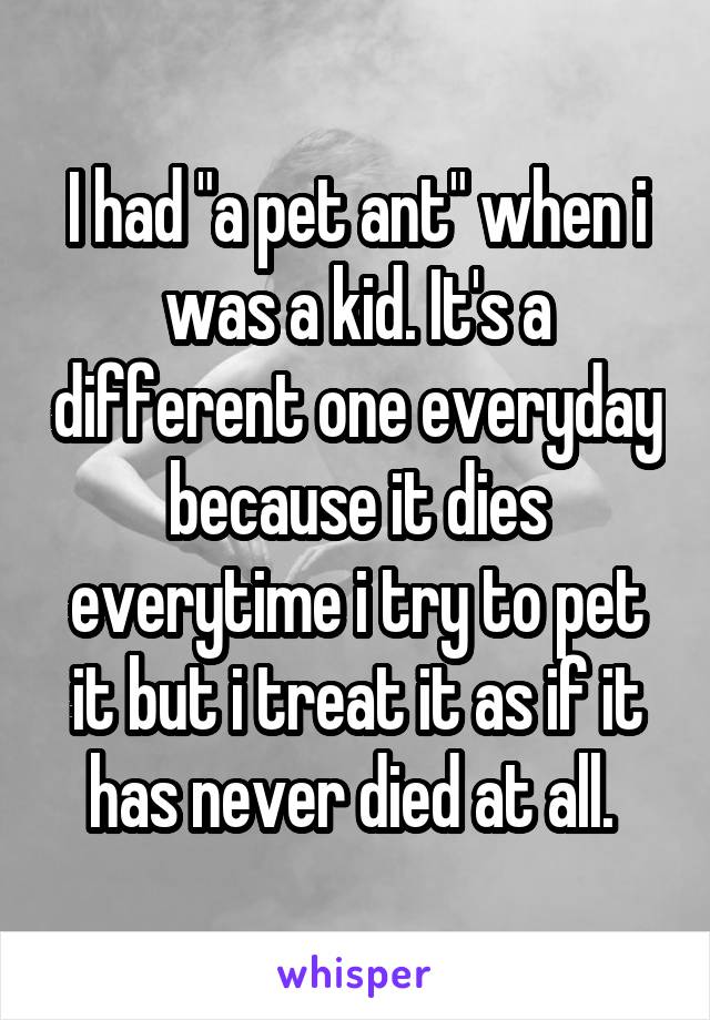 I had "a pet ant" when i was a kid. It's a different one everyday because it dies everytime i try to pet it but i treat it as if it has never died at all. 