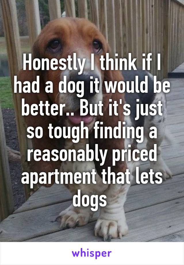 Honestly I think if I had a dog it would be better.. But it's just so tough finding a reasonably priced apartment that lets dogs 
