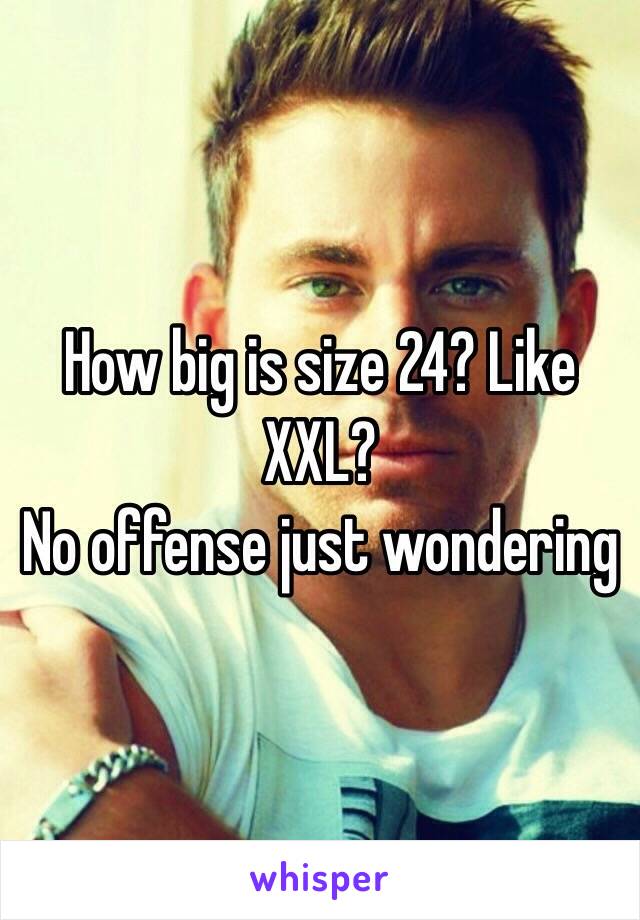 How big is size 24? Like XXL?
No offense just wondering 