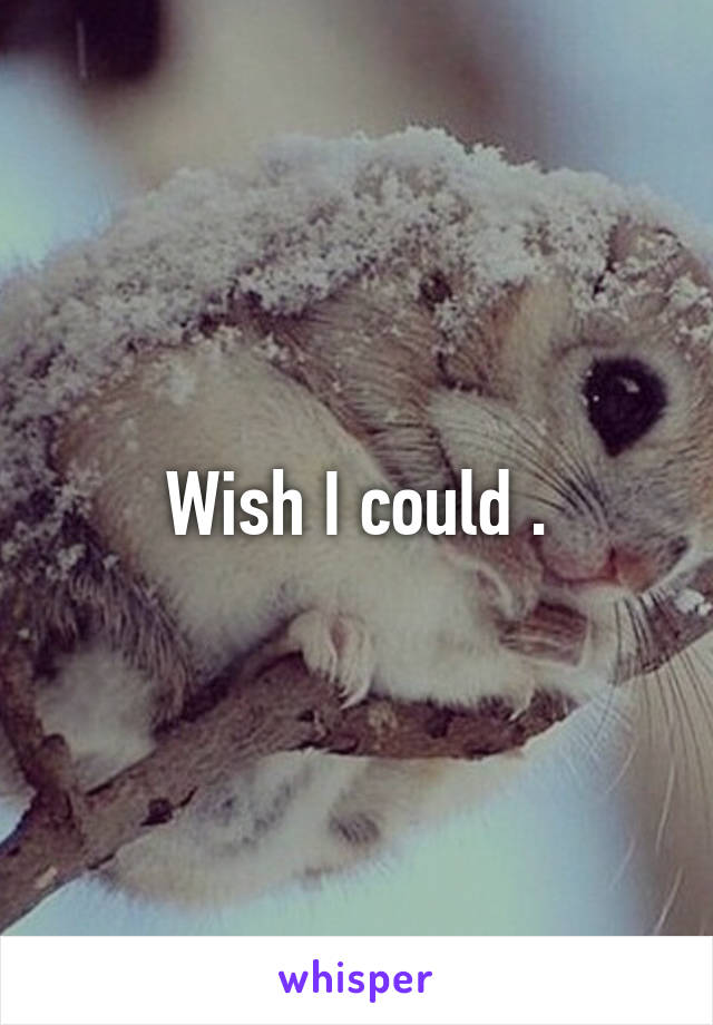 Wish I could .