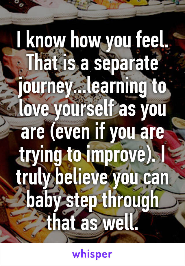 I know how you feel. That is a separate journey...learning to love yourself as you are (even if you are trying to improve). I truly believe you can baby step through that as well.