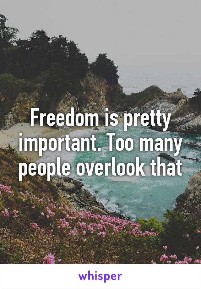 Freedom is pretty important. Too many people overlook that