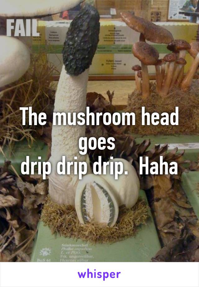 The mushroom head goes 
drip drip drip.  Haha