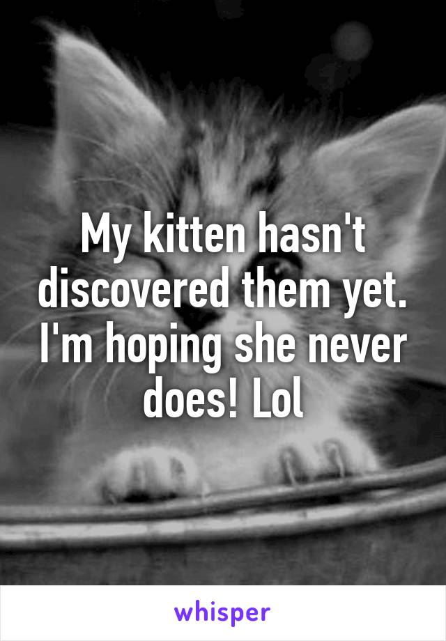 My kitten hasn't discovered them yet. I'm hoping she never does! Lol