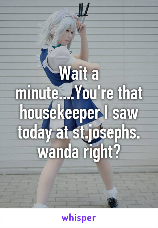 Wait a minute....You're that housekeeper I saw today at st.josephs. wanda right?